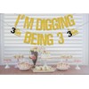 AETGDDS I'm Digging Being 3 Banner, Construction 3rd Birthday Decorations,