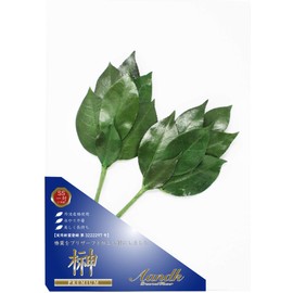 A&K Premium Sakaki Preserved (SS Size / Pair / Approx. Height 9.1 x Width 3.9 inches (23 cm) x Width 3.9 inches (10 cm) Made in Tamba, Made of Premium Camellia Leaves Use, Mini Size, Artificial Flowers, Mini