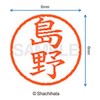 Shachihata Stamp Name 6 Correction Stamp XL - 6 Stamp
