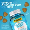 Sakoon Nutrition® 6 in 1 Stress Relief Gummies - 1