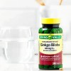 Ginkgo Biloba 60mg 240 Caps Ayuda Memoria Reduce Fatiga Spv