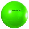 Horsemen's Pride 40-Inch Mega Ball for Horses, Green
