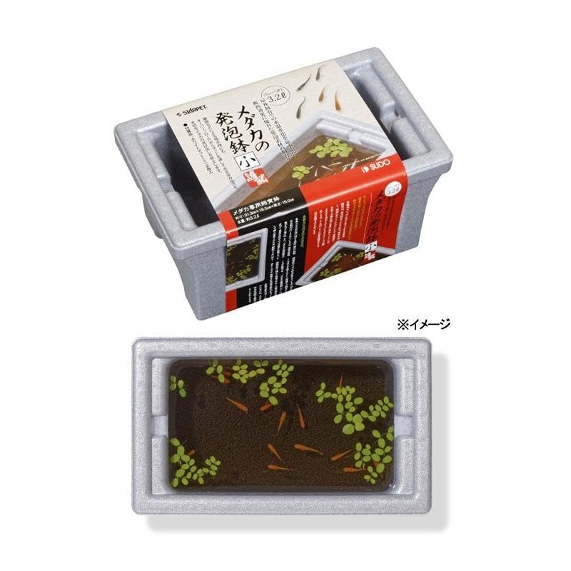 SUDO S-5578 Stumpet Medallion Foaming Pot, Small