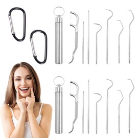 14 Pcs Stainless Steel Toothpicks Set, Portable Metal Toothpicks Holder with 2 Carabiners Reusable Plaque Remover Cleaning Tooth Hook Scraper Pick Teeth Tool for Outdoor Picnic Camping and Travel