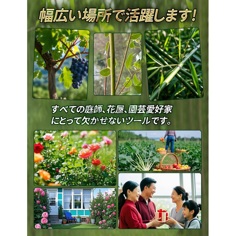 Pruning Shears 3-Pack Pruning Shears【2025 Popular Gardeners' Latest Recommendation】High Carbon