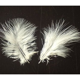 Marabou Feathers in Cream (Pk 30) Crafts, Costumes, Home Decoration, Weddings