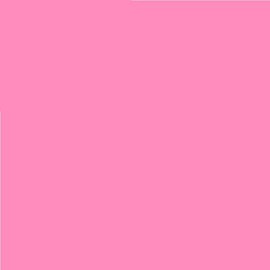Pack of 4 LEE No. 107 Light Rose - 24 x 24 cm Transparent Heat Resistant Coloured Film for Photo Studio PAR 64 Headlight - Gel Colour Filter Film (Pack of 4, Lee 107 Light Rose)