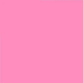 Pack of 4 LEE No. 107 Light Rose - 24 x 24 cm Transparent Heat Resistant Coloured Film for Photo Studio PAR 64 Headlight - Gel Colour Filter Film (Pack of 4, Lee 107 Light Rose)