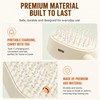 Electric Spray Air Cushion Massage Comb, Hair Brush with Water