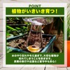 nijimomo Automatic Water Supply, 2 Pieces, Mushrooms, Large Capacity, Automatic