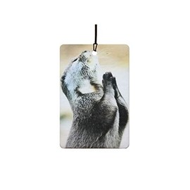 Ali Air Freshener Praying Otter Car Air Freshener