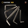 KANTARO 2133 Hex Key 5.5 mm (Pack of 5) Made