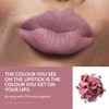 Avon Avon Ultra Matte Lipstick Posh Petal with Vitamin E,