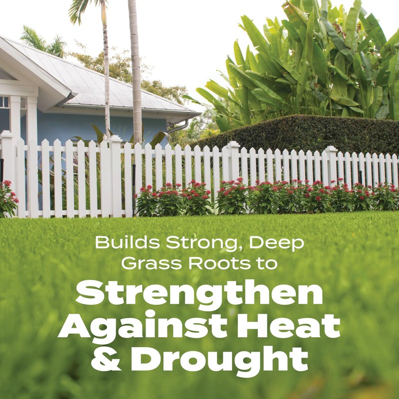 Scotts Turf Builder Bonus S Southern Weed & Feed2 -