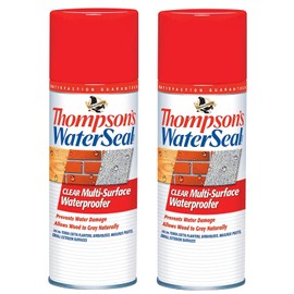 Thompsons TH.010100-18 Clear Multi-Surface Aerosol Waterproofer (Twо Pаck)