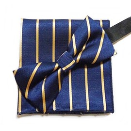 The World Ace Z SZ389-96 Men's Bow Tie & Chief, 2-Piece Set, For Weddings, Parties, Business+ 1 Wipe Anything Cloth, Navy & Yellow Stripes