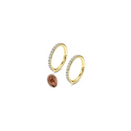 Morfetto 18G 16G Nose Rings Helix Piercings Gold Cartilage Earring Nose Ring Hoop Surgical Steel Septum Clicker Ring Segment Ring Silver Helix Ear Lobe Daith Rook Conch Tragus Piercing 6 mm / 8 mm /