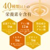 Yamada Apiary Enzymatic Decomposition Royal Jelly King Package Type 99