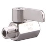 DERNORD 1/4 inch Stainless Mini Ball Valve NPT Female x