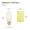 TOKCON T45 LED Light Bulbs 2W 200Lm E26 Base (2700K