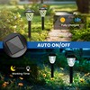 GIGALUMI 8 Pack Solar Lights Outdoor, Solar Pathway Lights with