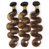 Niciitysi Ombre Three Tone Blonde Mixed With Brown Wet and