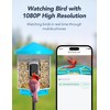 GNCC Smart Bird Feeder with Camera Wireless Outdoor, 1080P Wild