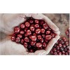 Bristot Single-Serve Compostable Coffee Pods | Low Acid | E.S.E.
