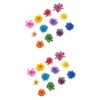Healvian 2pcs Colors Real Dried Flowers Nail Art Stickers Flower