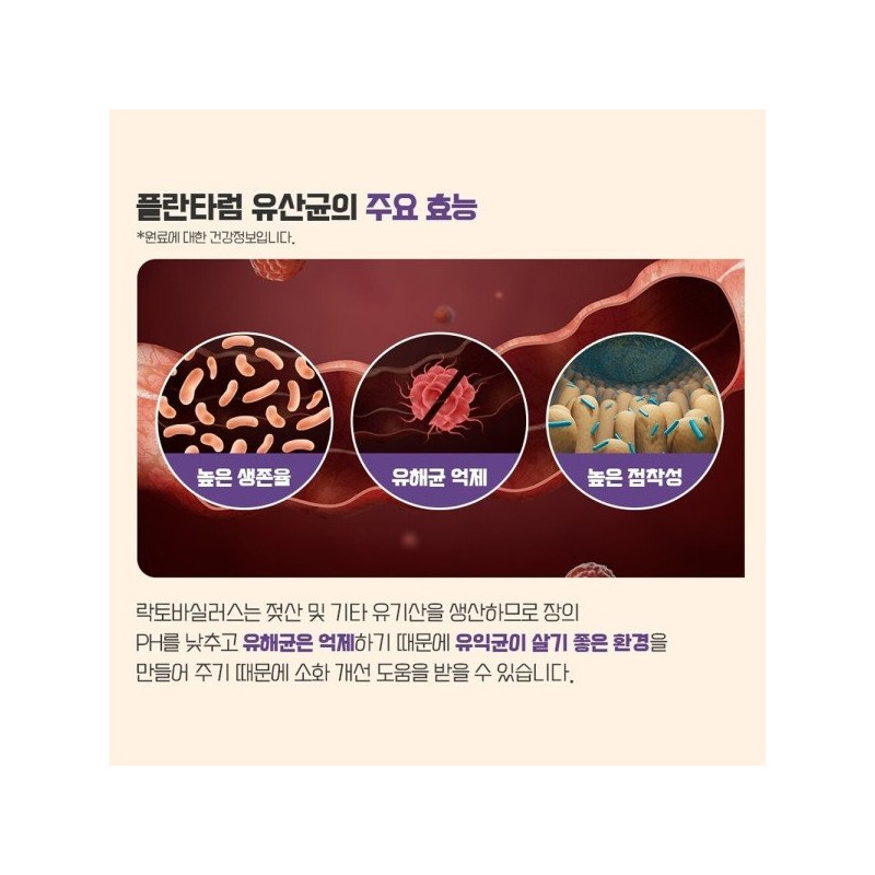 ILDONG Life Science 일동생활건강 낙산균 생 유산균 100억 30포 포스트바이오틱스