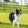 EXCELLENT ELITE SPANKER Tactical Dog Leash Heavy Duty 5-6FT Adjustable