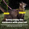 PetSafe Come with Me - Arnés de Gatito y Correa