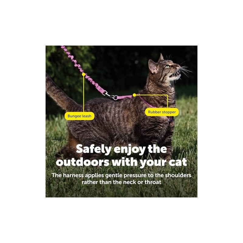 PetSafe Come with Me - Arnés de Gatito y Correa