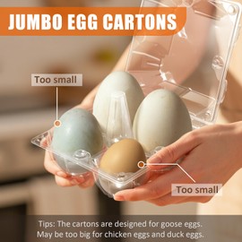 tutata Goose Egg Cartons, 40 Pack, 1/3 Dozen Jumbo Egg Carton, Plastic Box, Blank Top