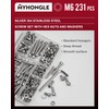231 Pcs M6 Nuts and Bolts Set, Hex Socket Head