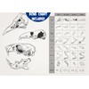 Pioneer Owl Pellet Dissection Kit with Pellets and Tools