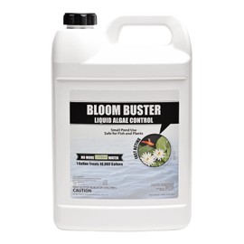 Bloom Buster Algae Control for Fish Ponds & Water Gardens - Gallon - Safe for Koi Fish, Goldfish & Plants - Controls Algae in Ponds & Water Features, EPA Registered
