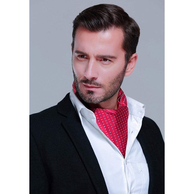 HISDERN Red Cravats for Men Wedding Polka Dot Ascot and
