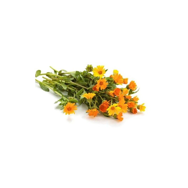 Marigold Flower Tea - Dried Loose Leaf By Nature Tea
