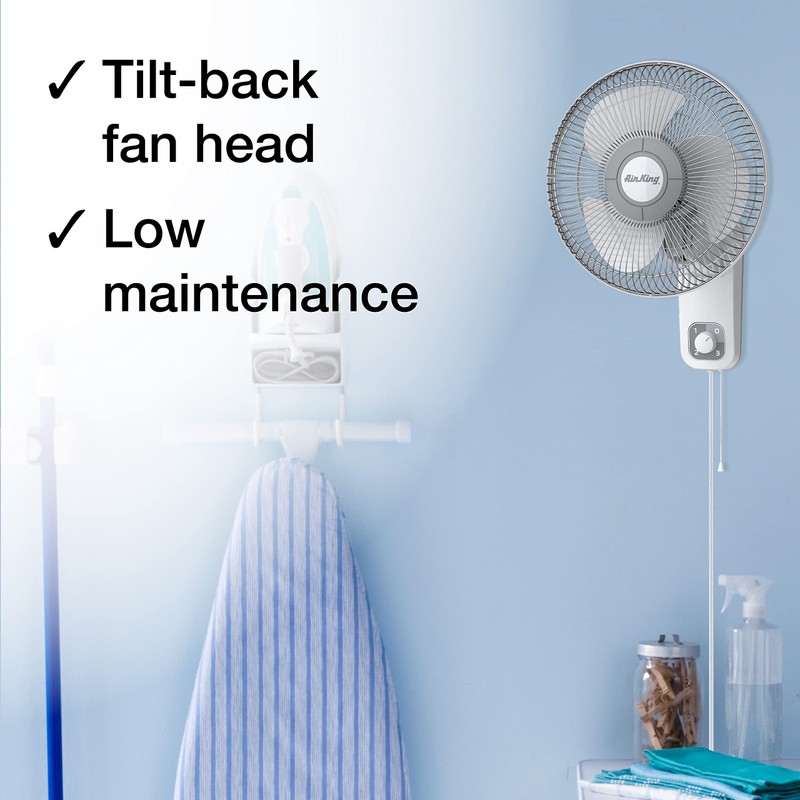Air King 9012 Commercial Grade Oscillating Wall Mount Fan, 12-Inch