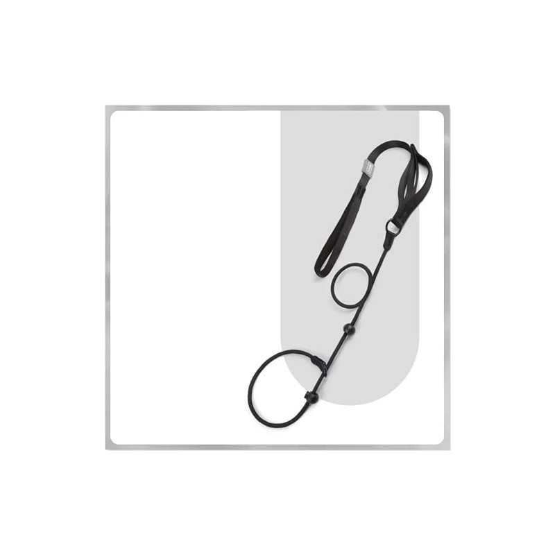 Arlinens Slip Lead For Dogs,Collar Dog Training Lead,1.6m Lightweight &