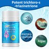 100PCS Chlorine Tablets for Swimming Pool and Spas, Slow-Dissolving Long-Lasting
