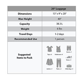 Rockland Safari Hardside Spinner Wheel Luggage, Pink Leopard, Carry-On 20-Inch