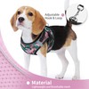Jolifield Step in Dog Harness with Leash Set, Adjustable Soft