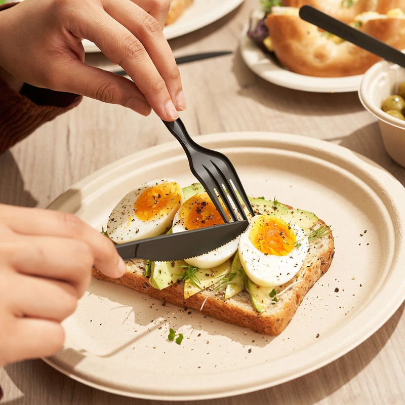 HAAGO PLA Cutlery - Eco-Friendly, Heavy Duty Cutlery for Parties,