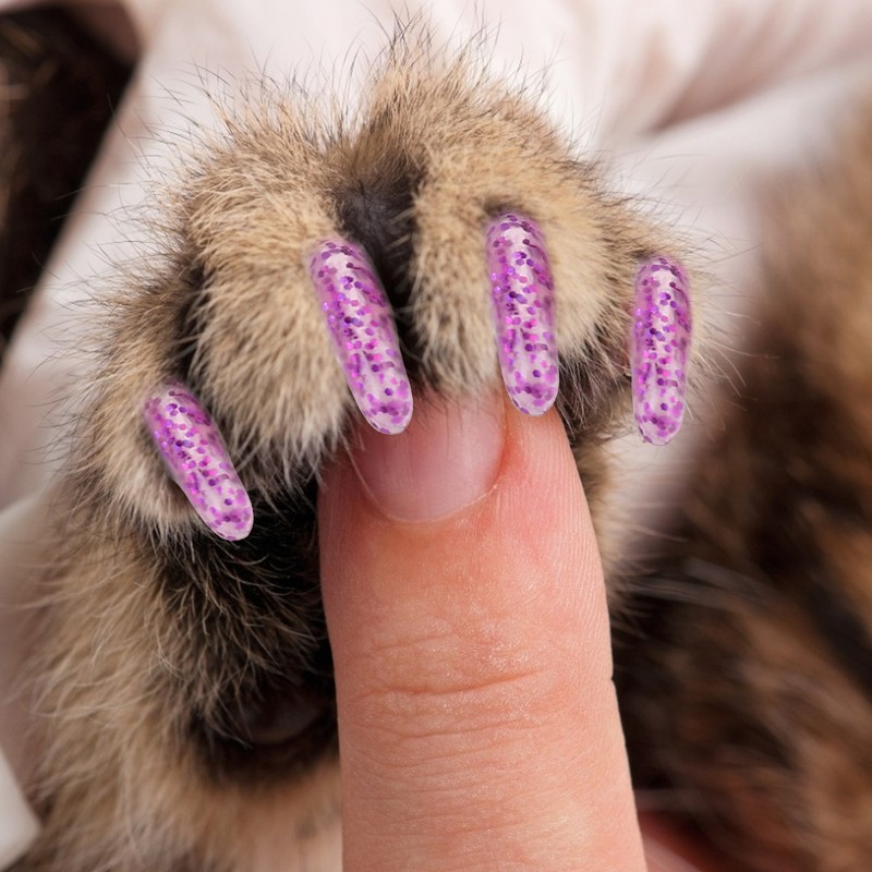 100PCS Durable Pet Cat Soft PVC Nail Cover Paw Claw