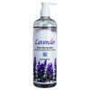 K.Solezio Relaxing Lavender Body Cleanser 450ml / 케이솔레지오 릴렉싱 라벤더 바디클렌저 450ml