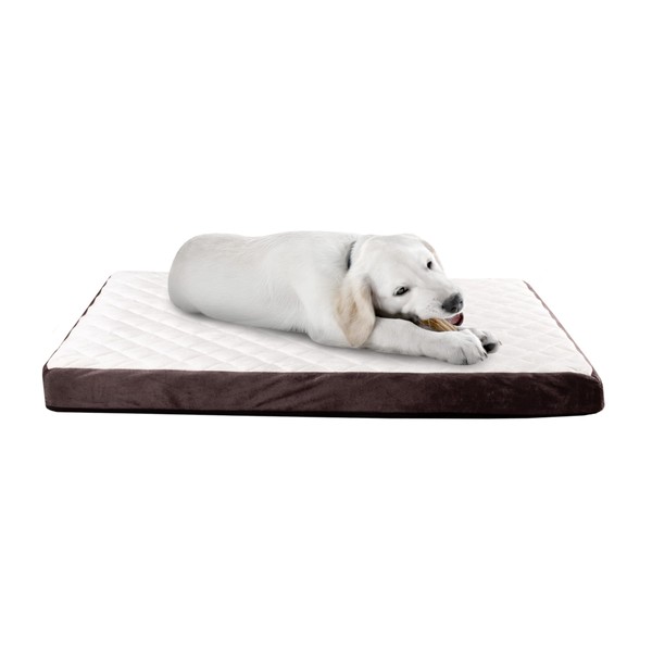 Dog Bed - Charcoal Infused Foam Pet Bed with Plush