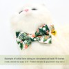 Bow Tie Cat Collar Set, Wedding/Birthday Gift for Cat, Summer