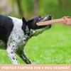 Barydat 2 Pcs Break Stick Dog Fight 10.04'' x 1.77''